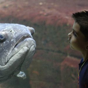 Meet your Posher, Greg